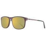 Brown Plastic Sunglasses